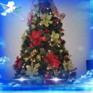 Meet your Posher, Jose humberto